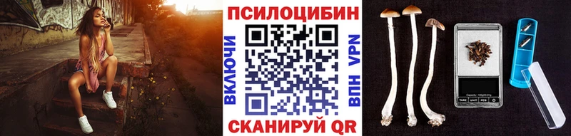 как найти закладки  Велиж  Псилоцибиновые грибы мицелий 