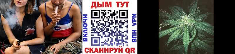 Бошки Шишки план  гидра ССЫЛКА  Велиж  как найти  